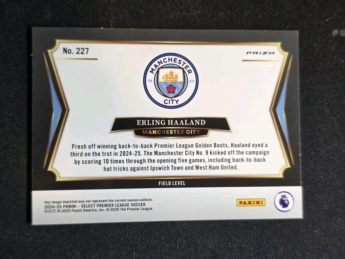 Erling Haaland #227 Purple Mojo Prizm – Panini Select 2024-25